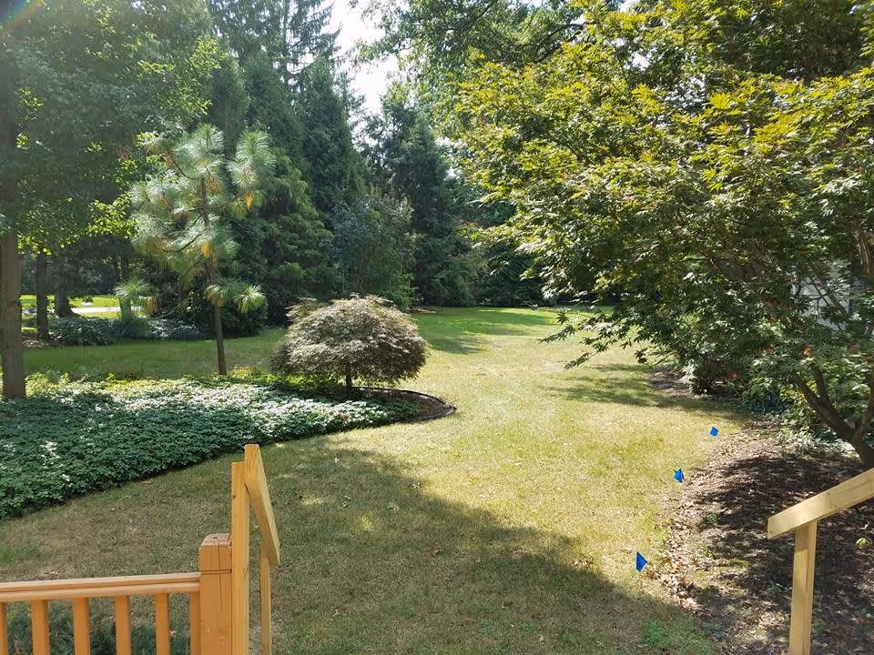 A sunny outdoor garden area with a grassy lawn, various trees including pine and leafy trees, and some small blue flags marking the ground. Wooden railings are visible in the foreground on both sides.