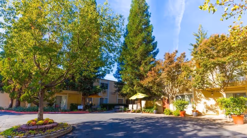 Outdoor view of The Landing at Carmichael senior living facility showing a driveway surrounded by trees with green and autumn-colored leaves, potted plants, and a building with balconies in the background under a clear blue sky.