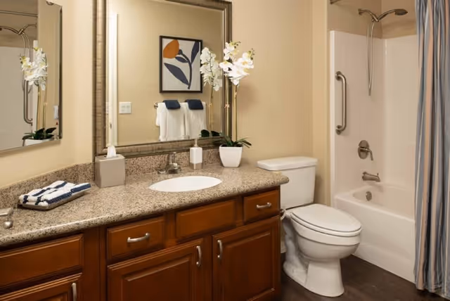 A clean and well-lit bathroom featuring a granite countertop with a sink, a large mirror above the sink, a white toilet, and a bathtub with a shower curtain. The countertop has a tissue box, a soap dispenser, a small potted orchid plant, and a folded towel. The walls are painted beige, and there is a framed abstract artwork hanging above the towel rack.