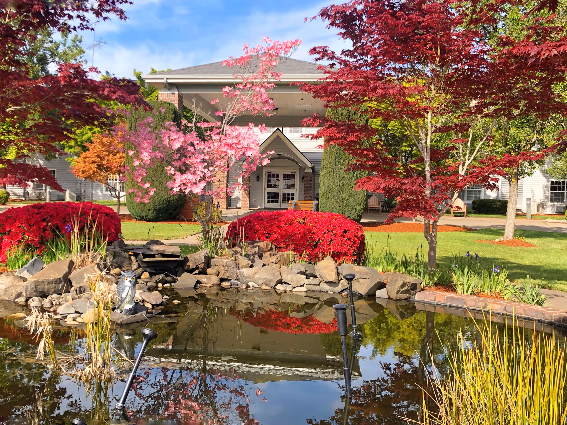 Front entrance of a building framed by a decorative pond, blooming trees, and colorful landscaped shrubs.