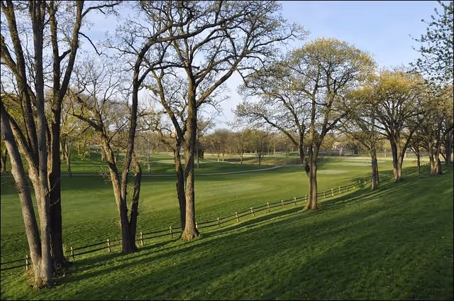 A scenic outdoor view of a grassy landscape with several leafless trees and a wooden fence running through the middle. The sky is clear with soft daylight illuminating the area.