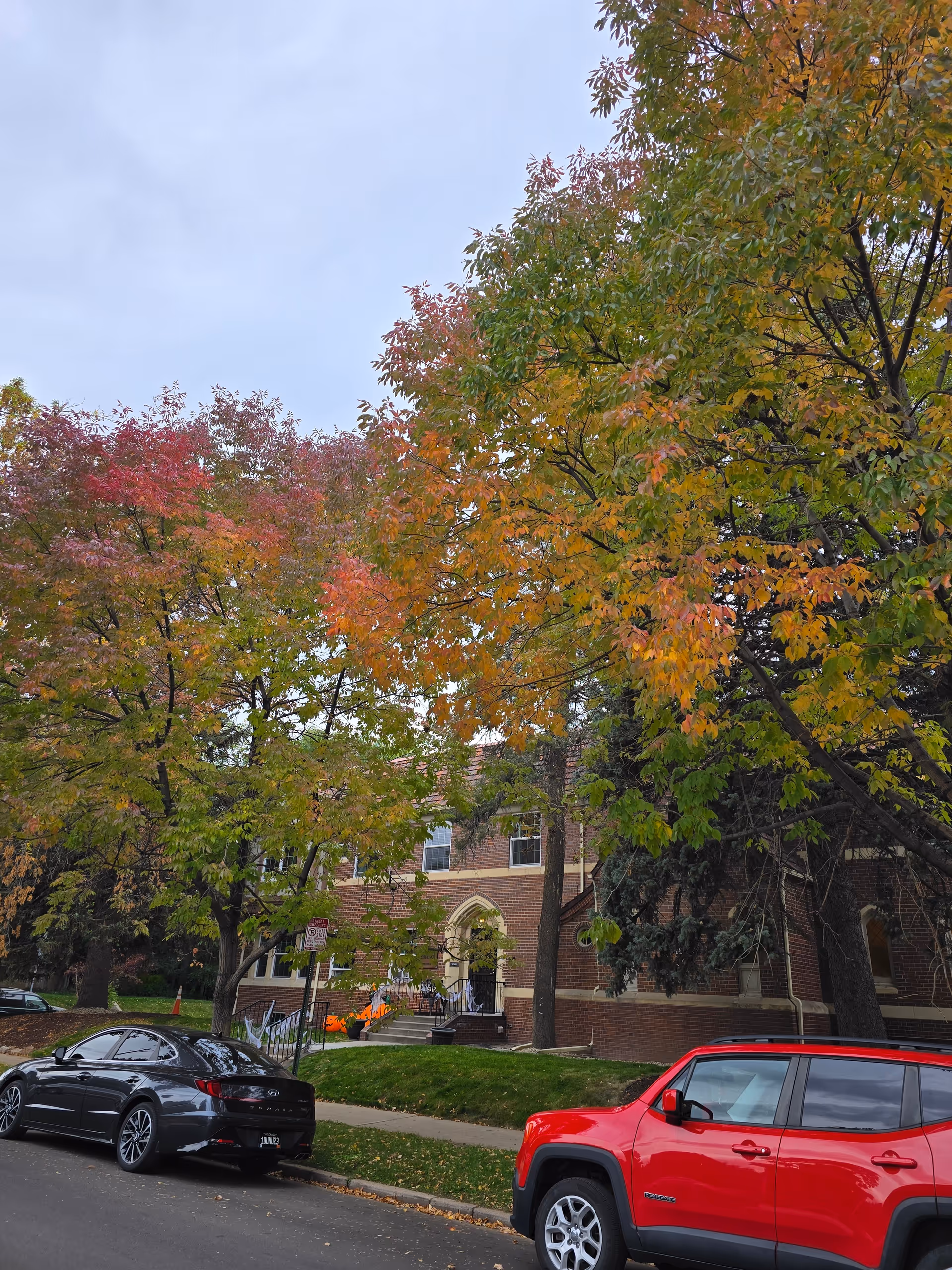 Exterior view of a brick building partially obscured by trees with autumn foliage. Two cars, one black and one red, are parked on the street in front of the building. A sidewalk and grassy area lead up to the building entrance, which has steps and a small archway.