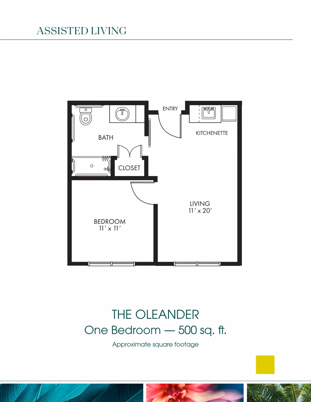 Floor plan of The Oleander, a one-bedroom assisted living apartment with approximately 500 square feet. The layout includes a bedroom measuring 11 by 11 feet, a bathroom, a closet, a kitchenette, and a living area measuring 11 by 20 feet. The entry door opens into the living area.