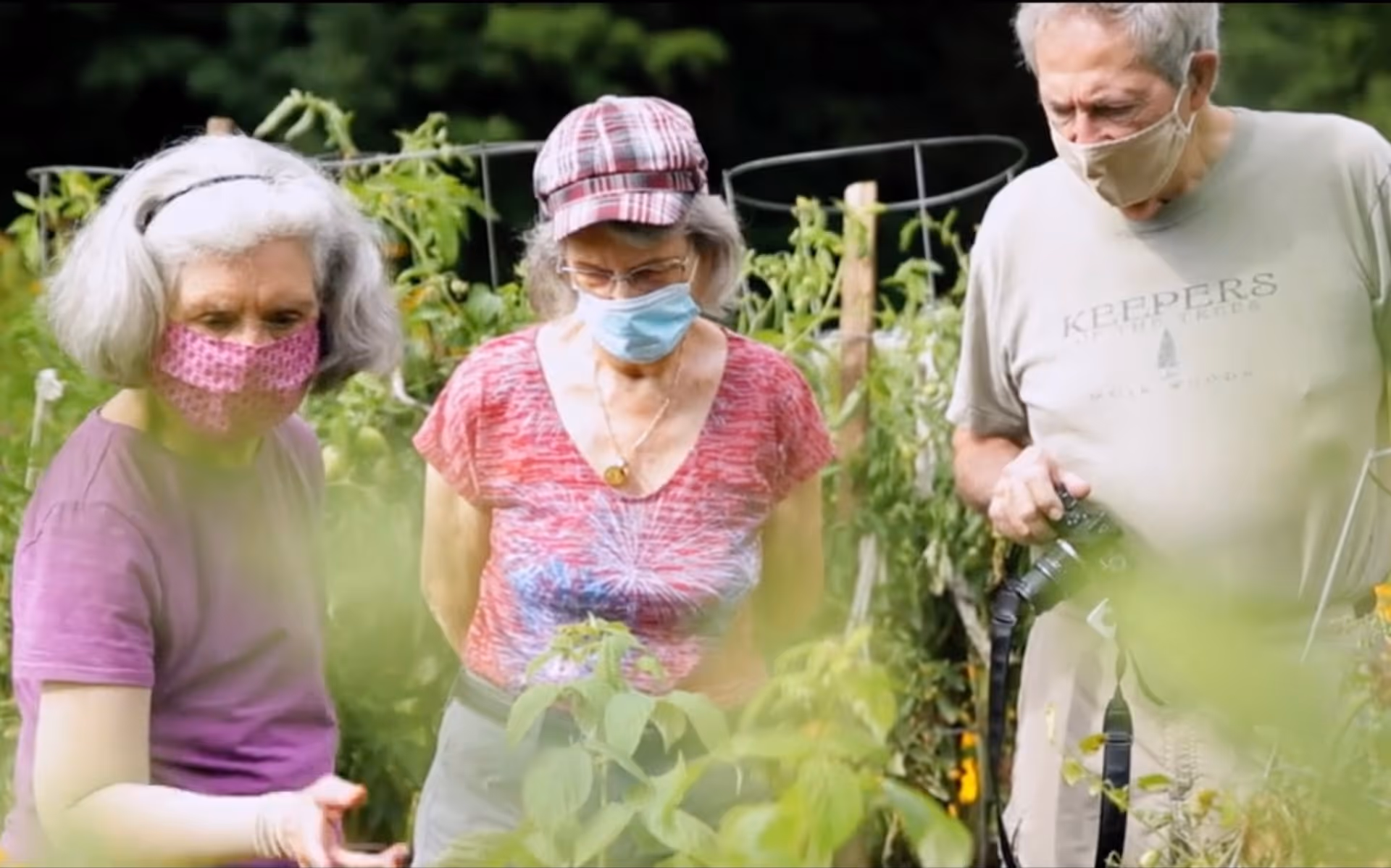 Three elderly individuals wearing face masks are standing outdoors in a garden surrounded by green plants. One woman in a purple shirt and pink mask is reaching towards a plant, another woman in a red patterned shirt and blue mask is observing, and a man in a beige shirt and mask is holding a camera.