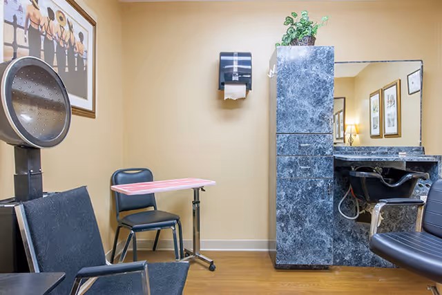 Interior view of a small salon or grooming area with a hair dryer chair, a black chair, a small table with a pink and white striped cover, a tall blue-gray marble-patterned cabinet with a mirror, and a black salon chair. The walls are beige and there are framed pictures on the wall.