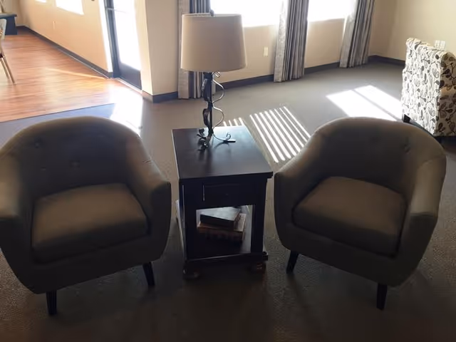 Two gray upholstered armchairs with button tufting are positioned on either side of a dark wooden side table with a lamp on top. The table has a lower shelf holding some books. The room has carpeted flooring and windows with curtains allowing sunlight to cast shadows on the floor. A patterned armchair is visible in the background near the windows.