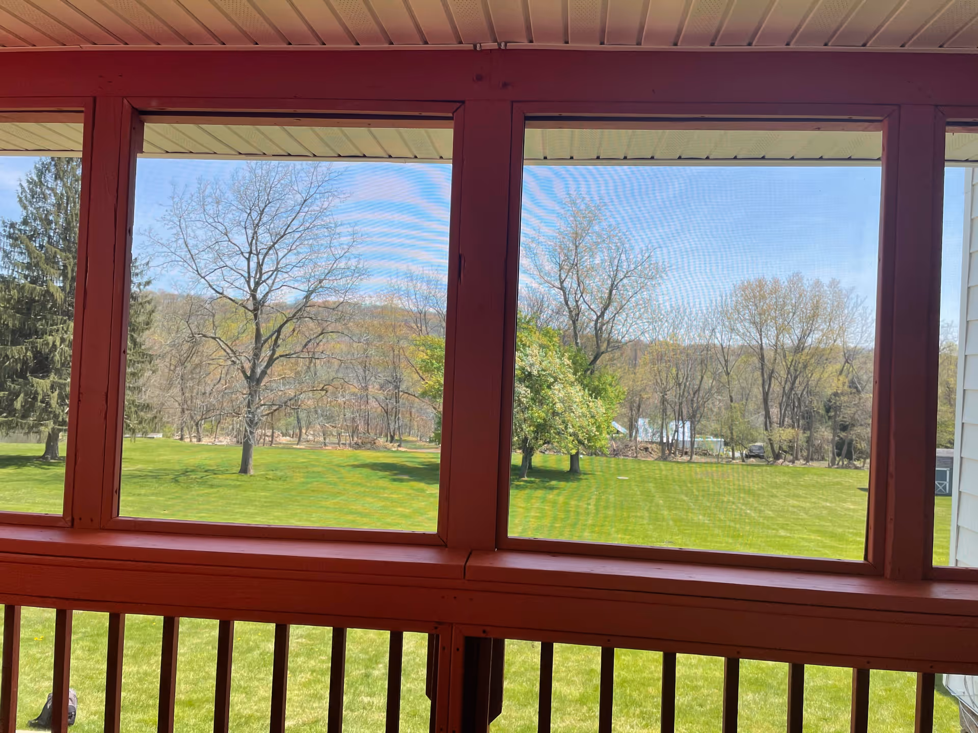 View through large screened windows showing a green lawn with scattered trees and a clear blue sky outside.