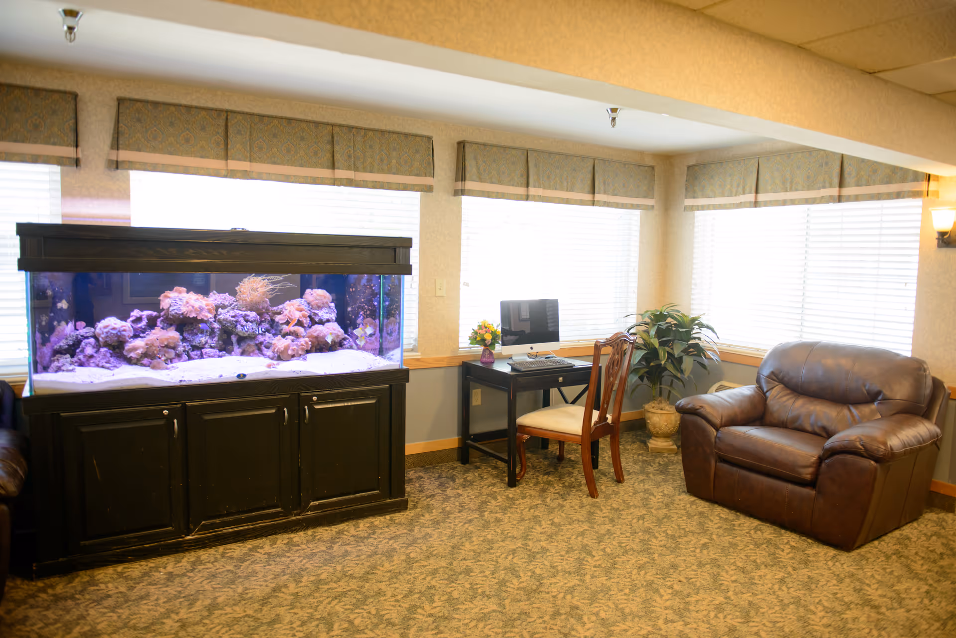 A cozy room with a large aquarium filled with coral on a black cabinet, a wooden desk with a computer and a chair, a potted plant, and a brown leather armchair. The room has carpeted flooring and windows with blinds and valances letting in natural light.