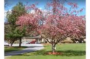 A landscaped outdoor area featuring a blooming pink tree in the foreground, green grass, and a building with a covered entrance in the background under a clear blue sky.