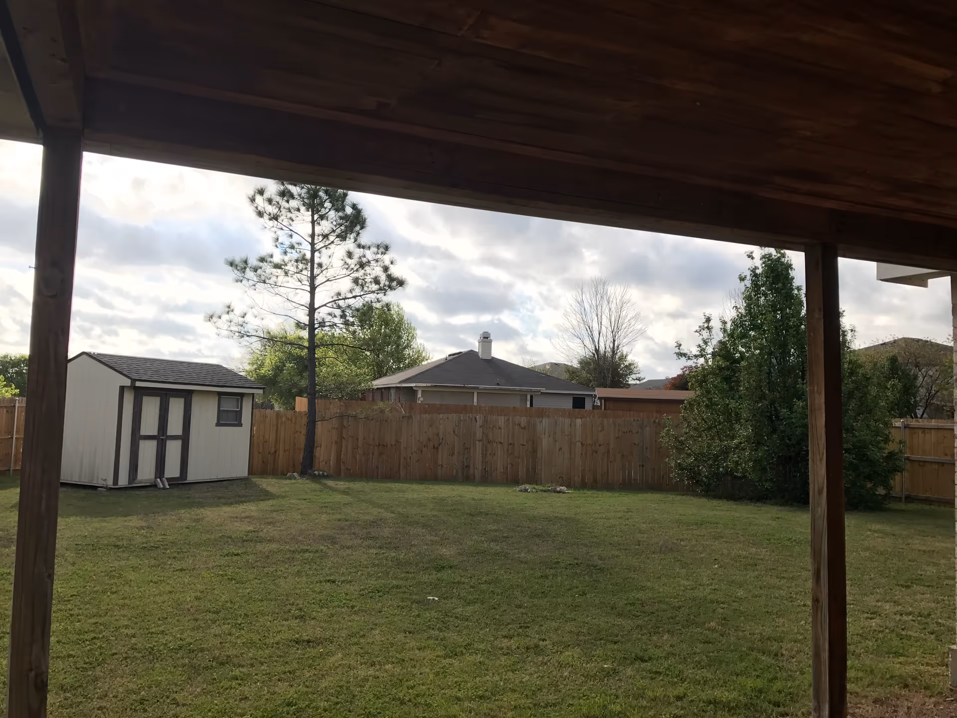 View of a fenced backyard with a small white shed, a tall tree, and some bushes, seen from under a wooden covered patio roof.
