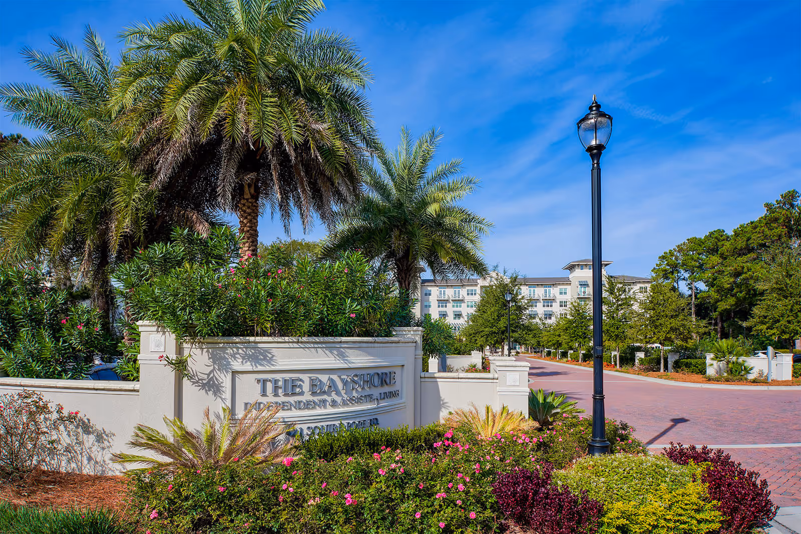 Entrance sign for The Bayshore Independent & Assisted Living surrounded by lush greenery and palm trees, with a paved road and a tall street lamp leading to a large multi-story building in the background under a clear blue sky.