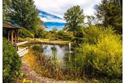 A peaceful outdoor scene featuring a small pond surrounded by lush greenery and trees under a partly cloudy blue sky. There is a wooden structure on the left side near the pond.