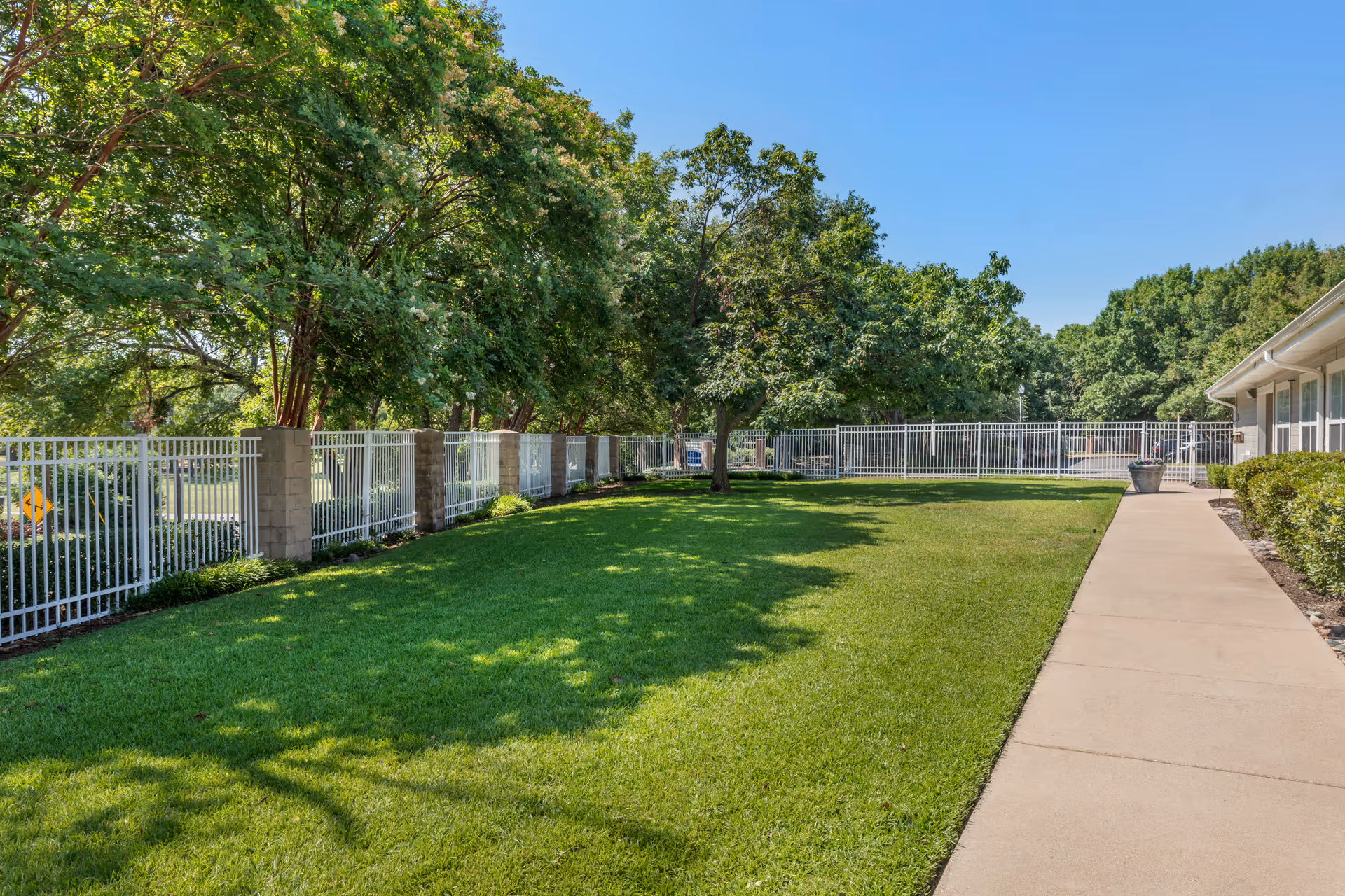 Sunlit grassy courtyard with trees, a white metal fence, and a paved walkway alongside a building.