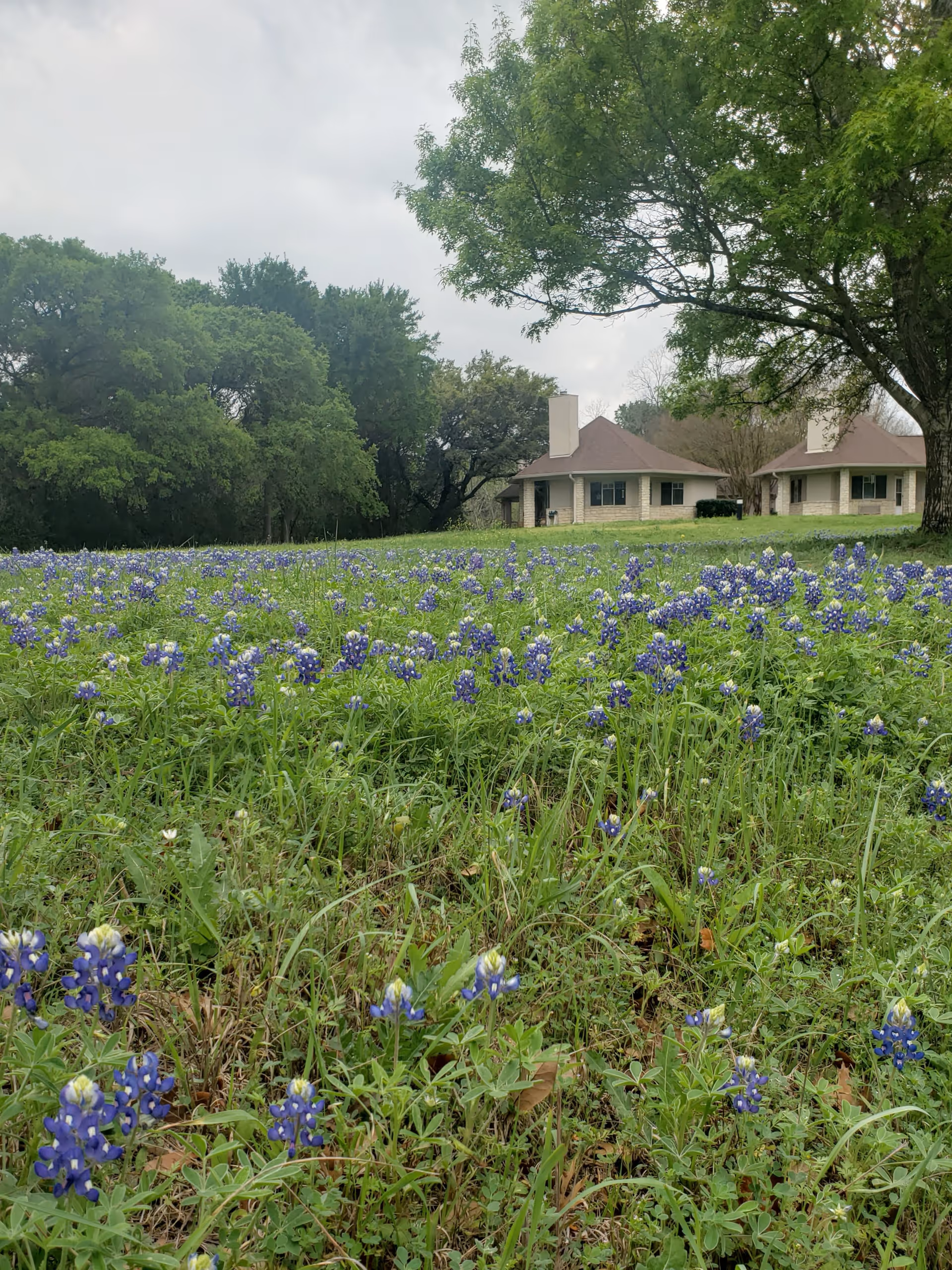 Photo 9 of Solstice Senior Living at Austin