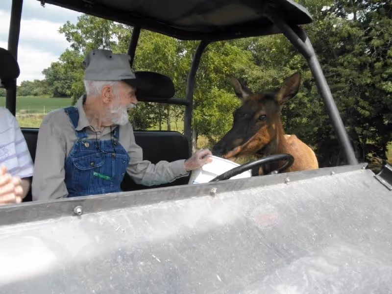 An elderly man in denim overalls sits in an open utility vehicle with a donkey nearby outdoors.