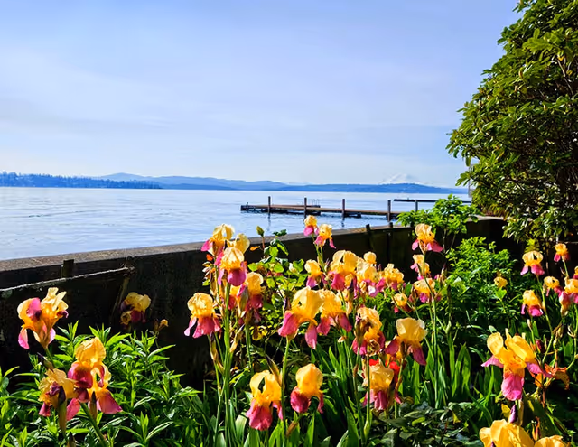 A garden with yellow and pink flowers in the foreground, overlooking a large body of water with a dock extending into it. In the background, there are distant hills and a partly cloudy sky.
