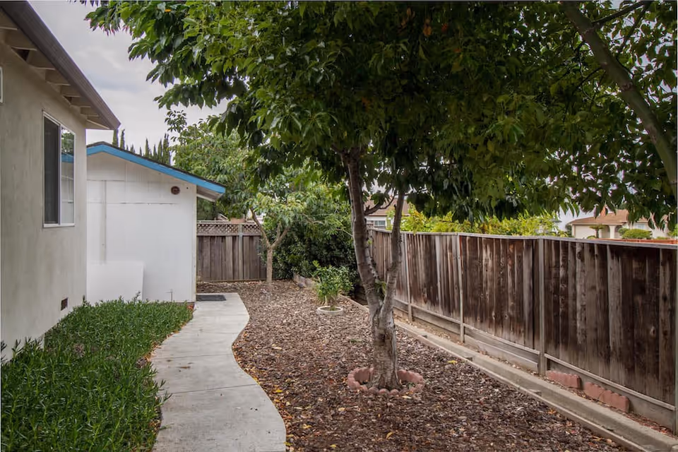 A backyard area with a concrete pathway curving alongside a beige building on the left. There are green bushes next to the building and a tree with a circular brick border in the mulched area to the right. A wooden fence runs along the right side of the yard, and a small white shed with a blue roof is visible near the back.