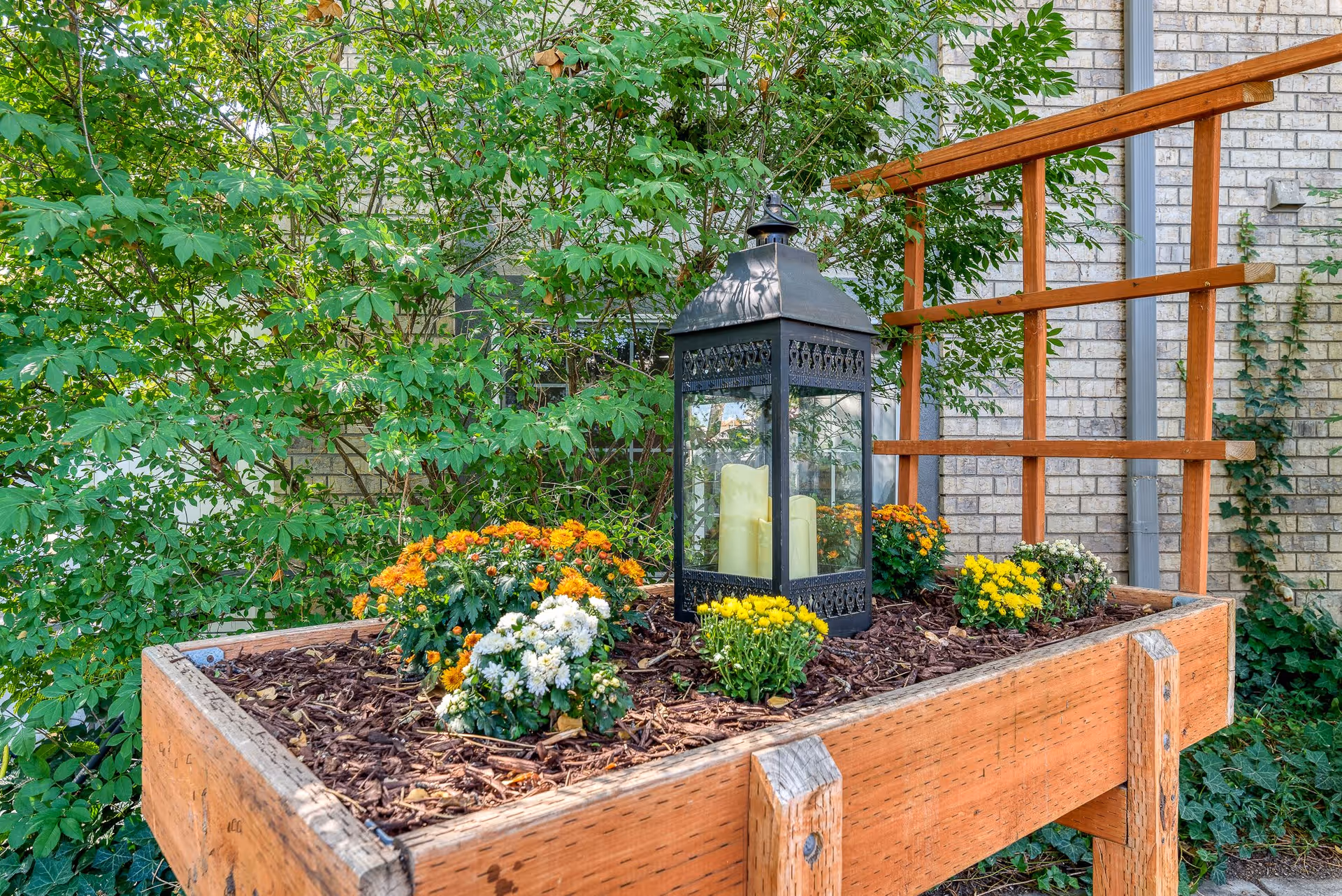 A raised wooden garden bed filled with mulch and colorful flowers including orange, yellow, and white blooms. In the center of the garden bed is a black decorative lantern containing several large candles. Behind the garden bed, there is a brick wall with a wooden trellis and green leafy plants.
