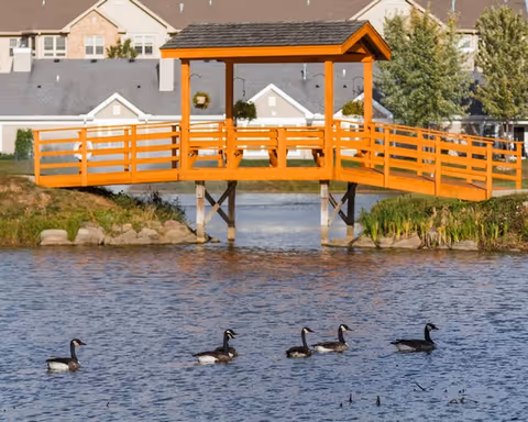 A wooden covered bridge painted orange spans a small body of water with five ducks swimming in the foreground. In the background, there are residential buildings and trees.
