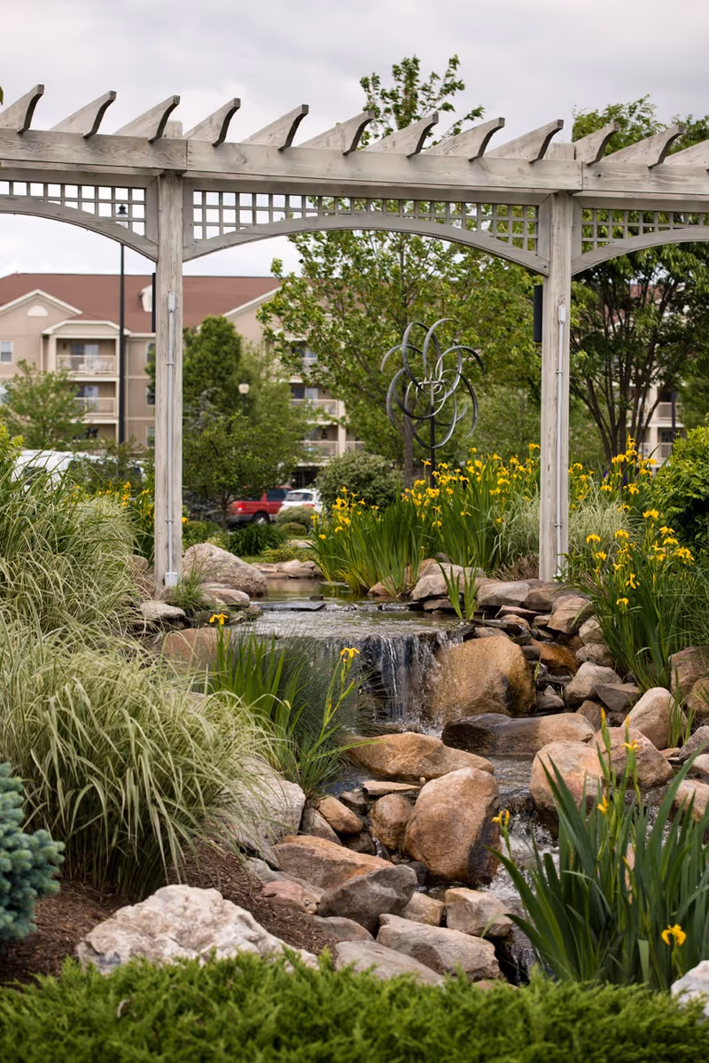 A wooden pergola frames a landscaped garden with a small rock waterfall, yellow irises, and apartment buildings in the background.