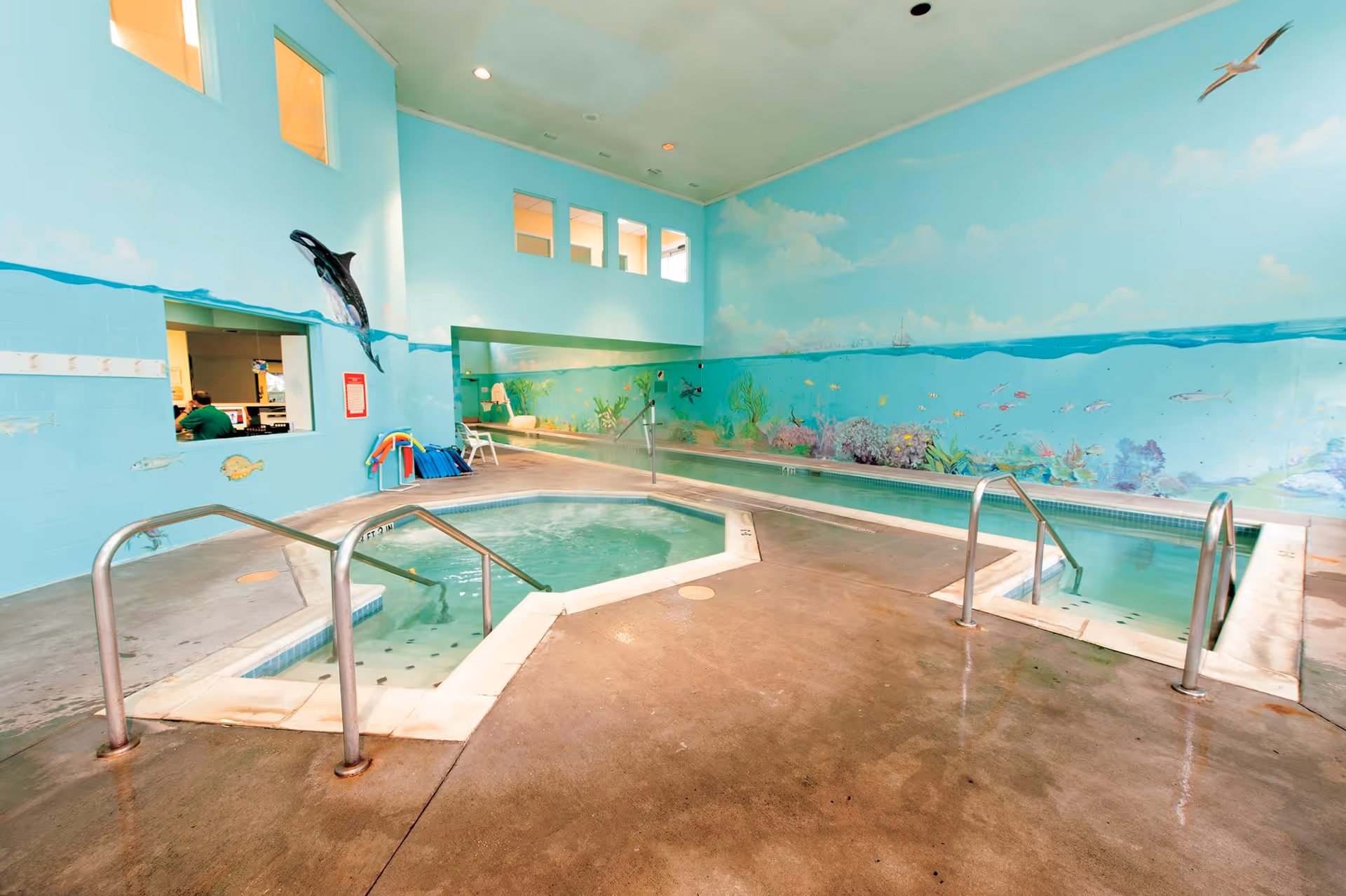 Indoor pool area with a hot tub and a lap pool. The walls are painted with an underwater ocean theme featuring fish, coral, a dolphin, and a seagull flying above. There are metal handrails leading into the water and a window showing a room with a person inside.