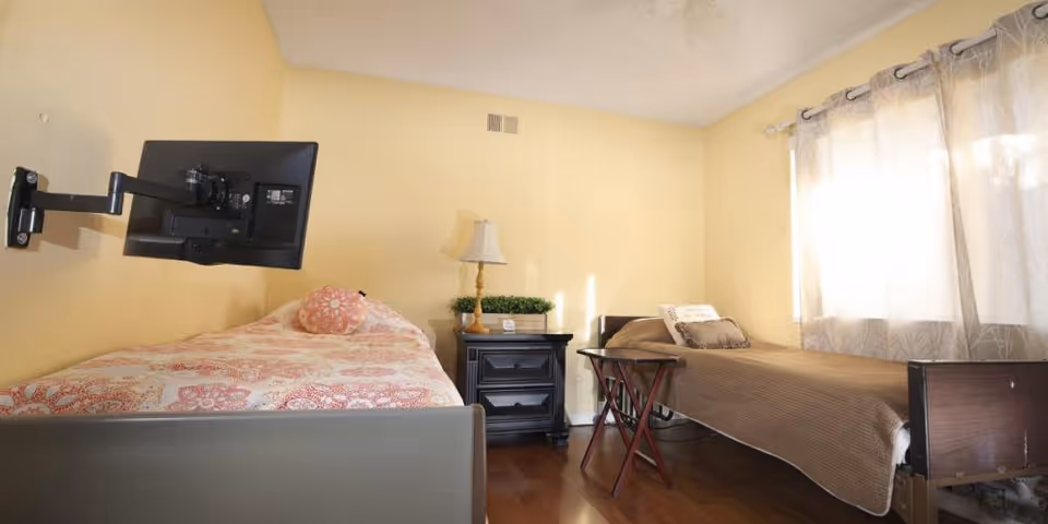 A small bedroom with two single beds placed parallel to each other. One bed has a pink patterned bedspread and a round decorative pillow, while the other bed has a brown bedspread with a rectangular pillow. Between the beds is a black nightstand with a lamp and a small plant. A flat-screen TV is mounted on the wall above the bed with the pink bedspread. Light filters in through a window with sheer curtains on the right side of the room. The walls are painted a soft yellow, and the floor is wooden.