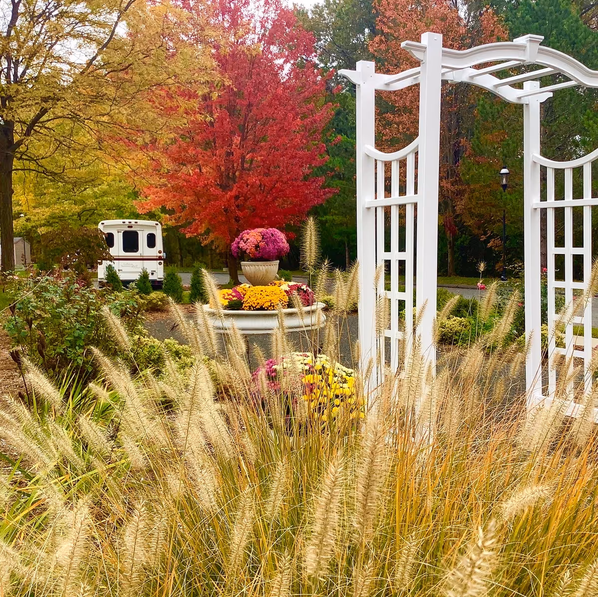 A white garden arbor and planter with colorful mums amid tall ornamental grasses and autumn trees at an outdoor entrance.