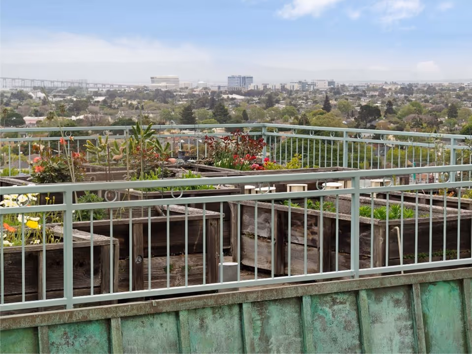 Rooftop garden with wooden planter boxes and pale green metal railings overlooking a distant city skyline.