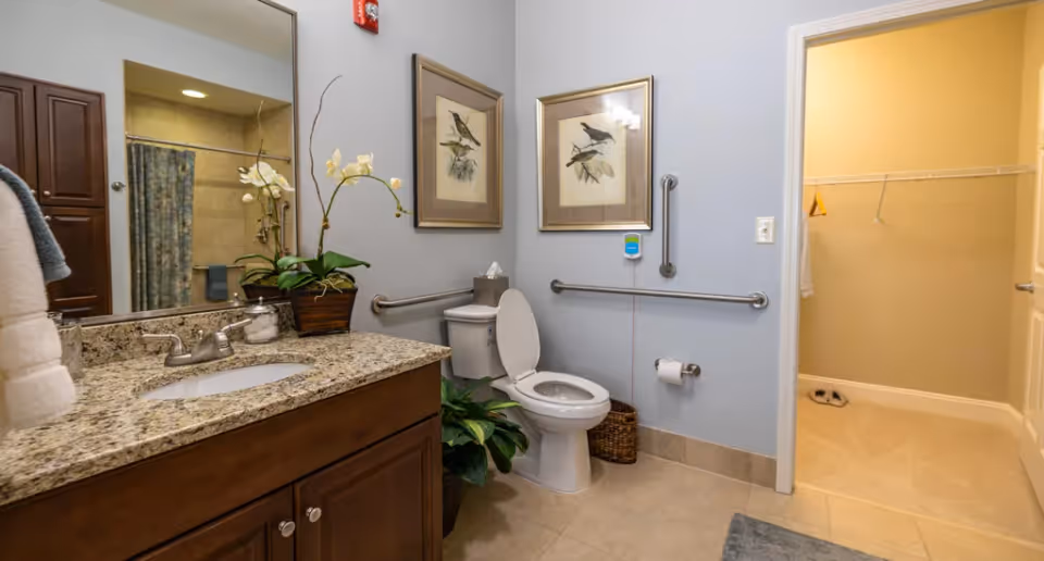 A clean and well-lit bathroom with a granite countertop vanity featuring a sink and faucet. There is a toilet with the seat up, surrounded by safety grab bars on the walls. Two framed bird pictures hang above the toilet. A plant is placed on the floor next to the toilet. The bathroom opens into a walk-in closet with a beige carpet and some hanging clothes. The walls are painted light blue and beige, and the floor is tiled.