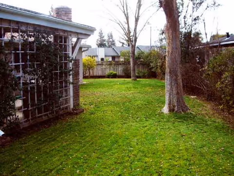Exterior yard with green lawn, trees, and a building visible on the left.