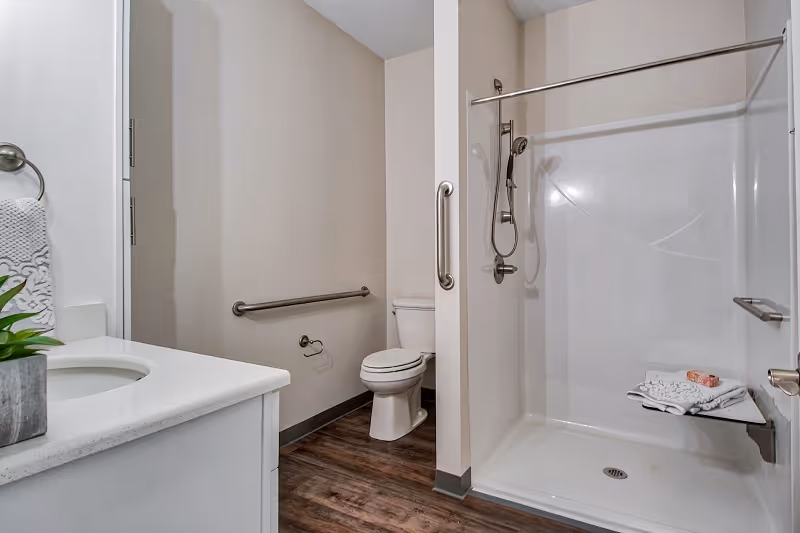 A clean, accessible bathroom featuring a white countertop with a sink and a small potted plant, a toilet with a grab bar on the wall beside it, and a walk-in shower with a fold-down seat and grab bars. The floor has wood-style flooring and the walls are painted in a light neutral color.