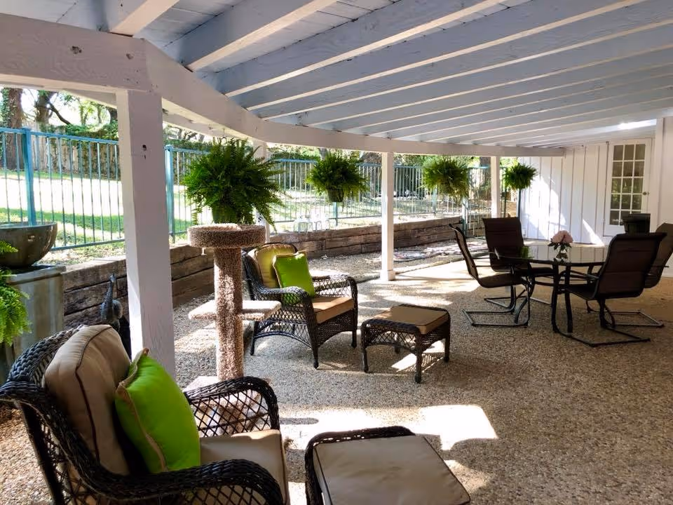 Covered outdoor patio area with wicker chairs and green cushions, a cat tree, hanging ferns, and a glass-top table with four chairs. The area is shaded by a white wooden roof and overlooks a fenced grassy yard.