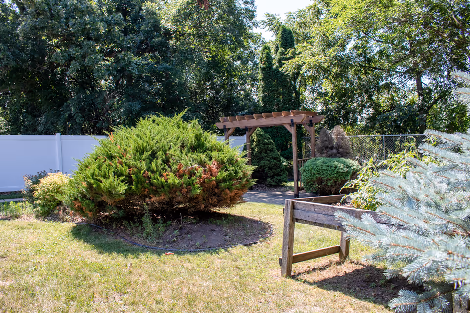 A sunny outdoor garden area with various green shrubs and trees, a wooden pergola structure in the background, and a raised wooden planter box on the right side. A white fence and chain-link fence enclose the garden space.