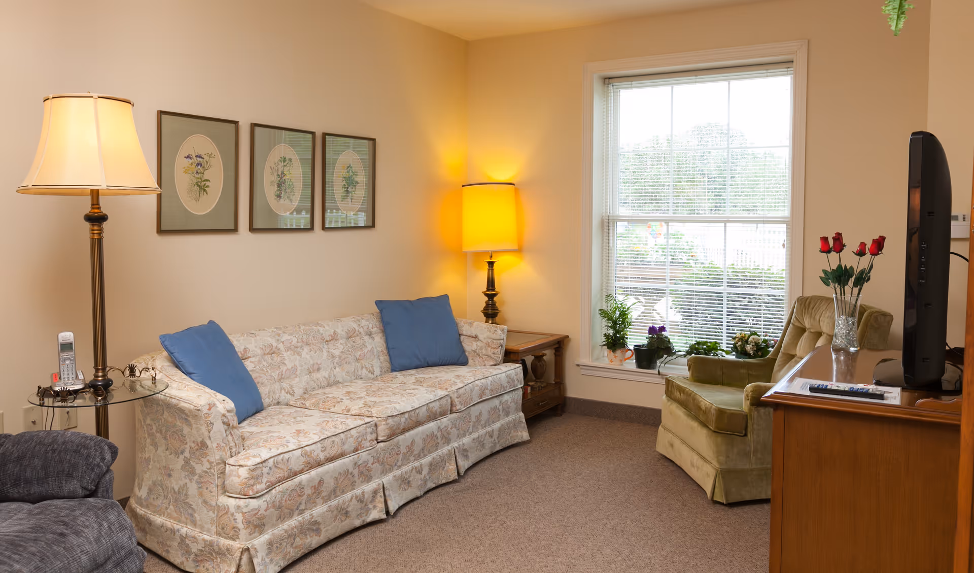Cozy living room with a floral sofa, armchairs, lamps, TV on a wooden cabinet, and a window with potted plants.
