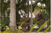 Shaded outdoor garden area with trees, palm fronds, and a stone fountain or planter in front of a slatted fence.