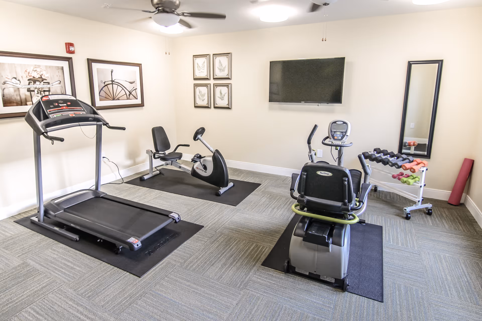 A small fitness room with a treadmill, two recumbent exercise bikes, a rack of colorful dumbbells, a wall-mounted TV, a large mirror, and framed artwork on the walls. The room has light-colored walls, carpeted flooring, and a ceiling fan with a light.