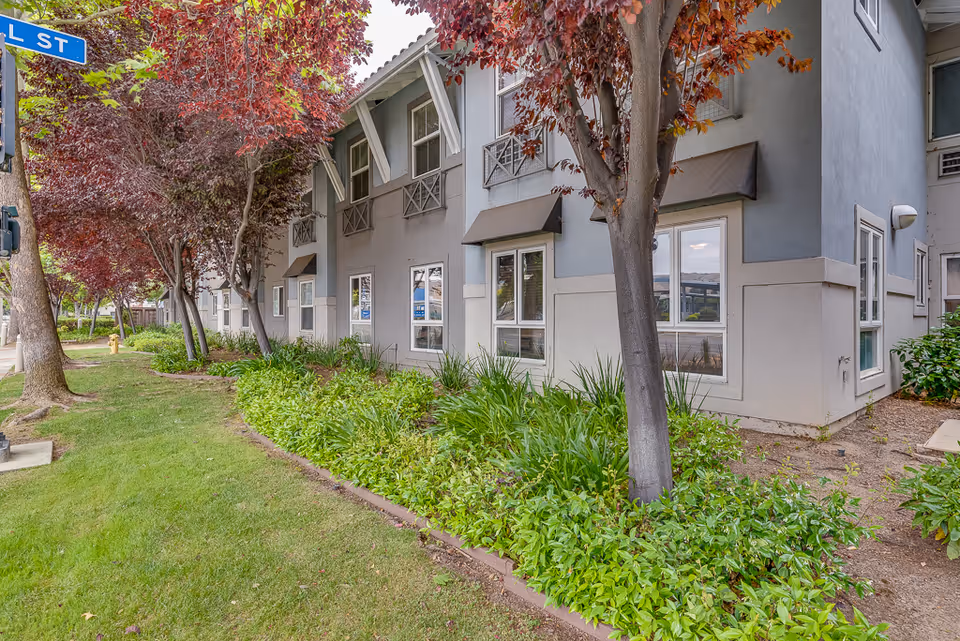 Exterior view of the Pacifica Senior Living Union City building with landscaped grounds, trees, and ground-floor windows.