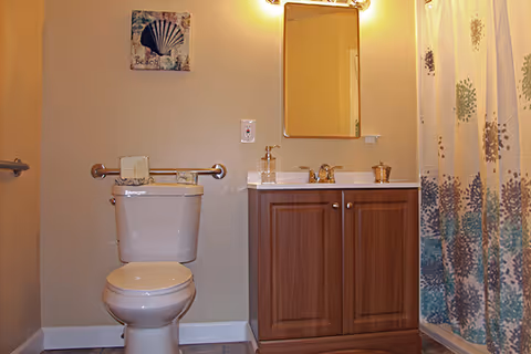 Bathroom interior showing a toilet with grab bars, a sink vanity with mirror, and a patterned shower curtain.
