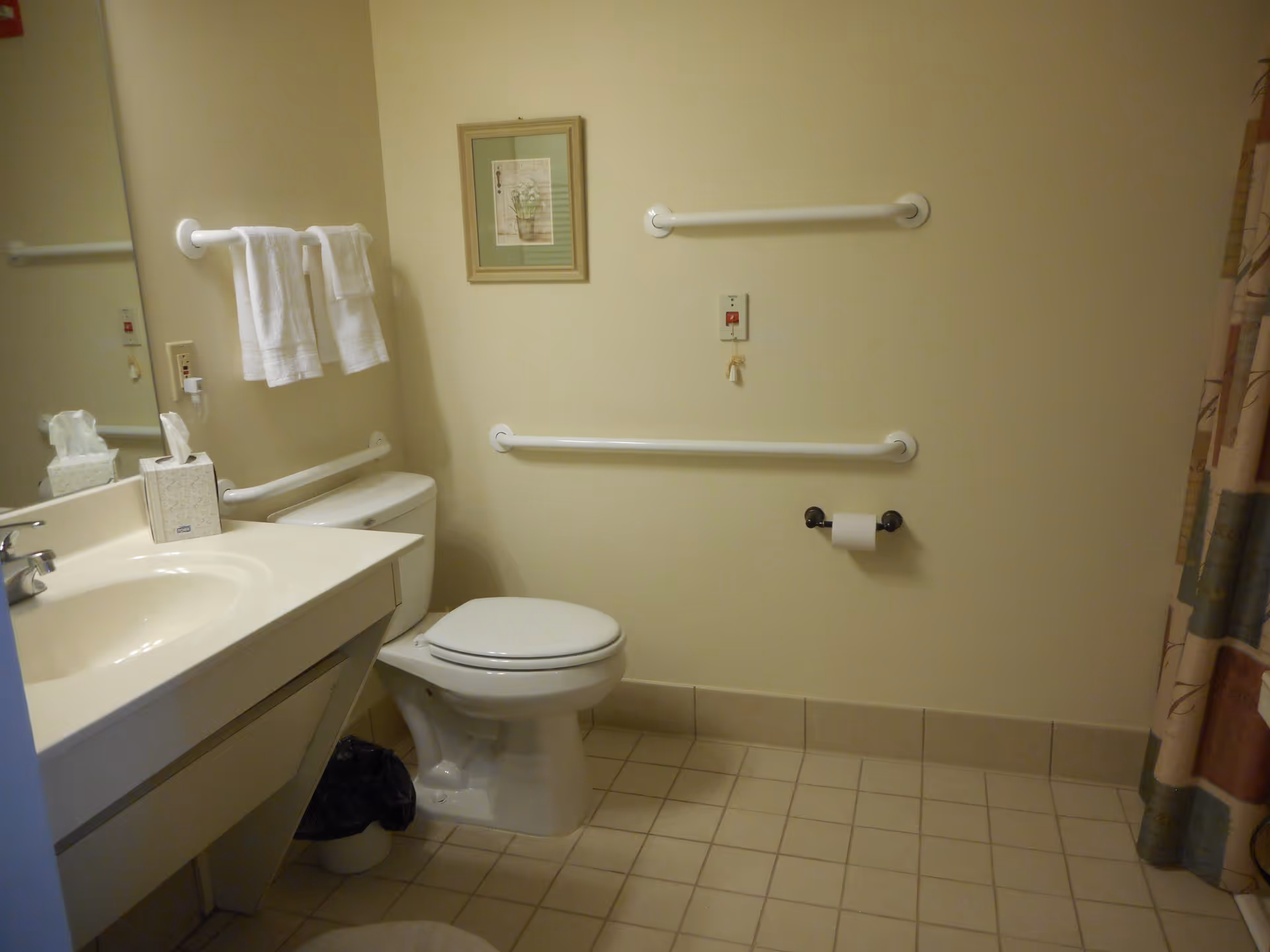 A clean bathroom with a white toilet, a sink with a countertop, a mirror, and white towels hanging on a towel rack. There are grab bars on the walls for accessibility, a tissue box on the sink, a framed picture on the wall, and a shower curtain partially visible on the right side.