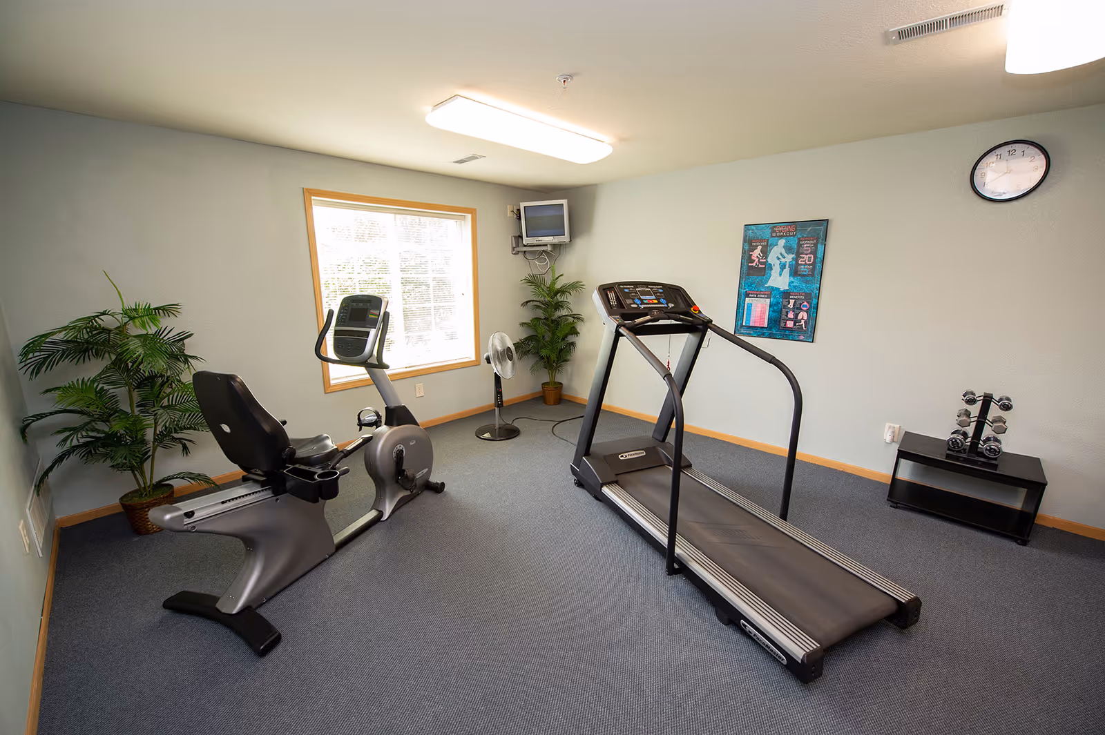 A small fitness room with a recumbent exercise bike, a treadmill, a set of dumbbells on a rack, a wall-mounted TV, a standing fan, two potted plants, a clock on the wall, and a fitness poster. The room has light gray walls, a window with natural light, and blue carpeted flooring.