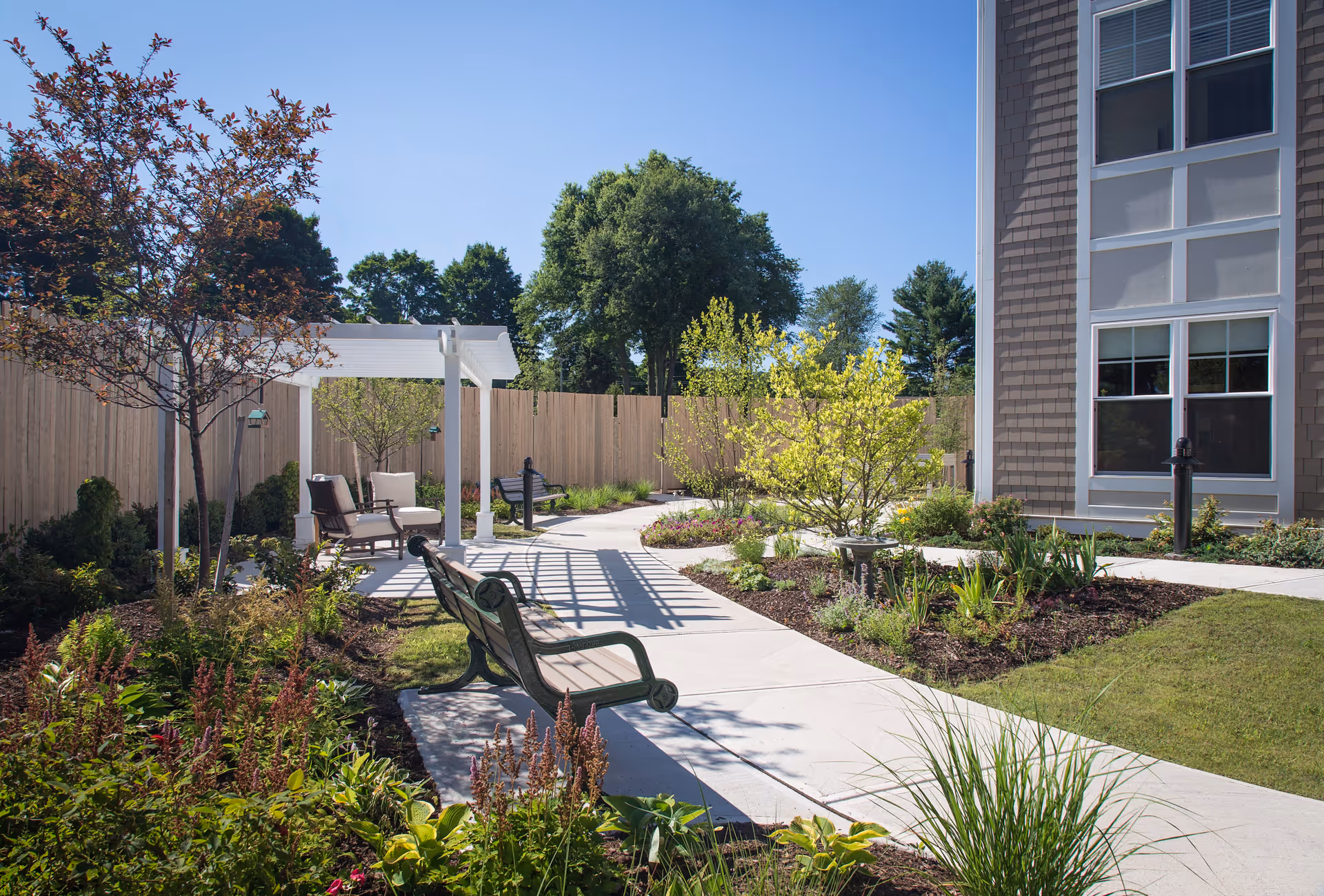 A sunny outdoor garden area with a concrete pathway, benches, a white pergola with seating underneath, various plants, shrubs, and trees, and part of a building with large windows visible on the right side.