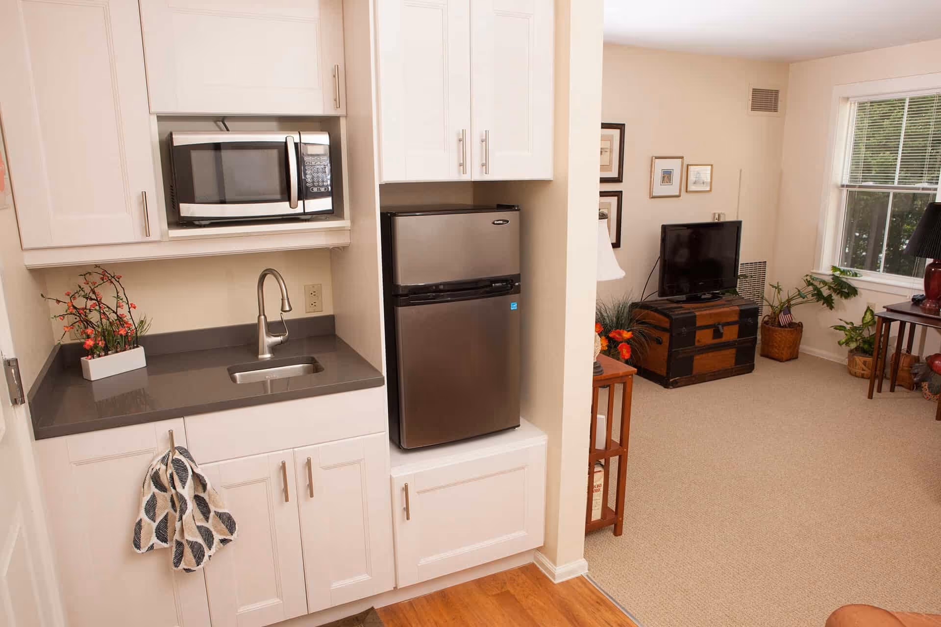 A small kitchenette area with white cabinets, a gray countertop, a stainless steel sink, a microwave, and a compact refrigerator. Adjacent to the kitchenette is a living room with a TV on a wooden chest, a window with blinds, several framed pictures on the wall, and various plants and lamps.
