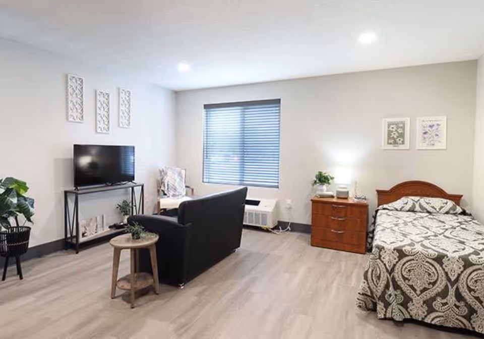 A bright and clean room with a single bed covered in a patterned bedspread, a wooden nightstand with a lamp and plant, a black loveseat facing a flat-screen TV on a metal stand, a small round wooden side table, a chair with a cushion, and a window with blinds letting in natural light. The walls are decorated with framed artwork and decorative panels.