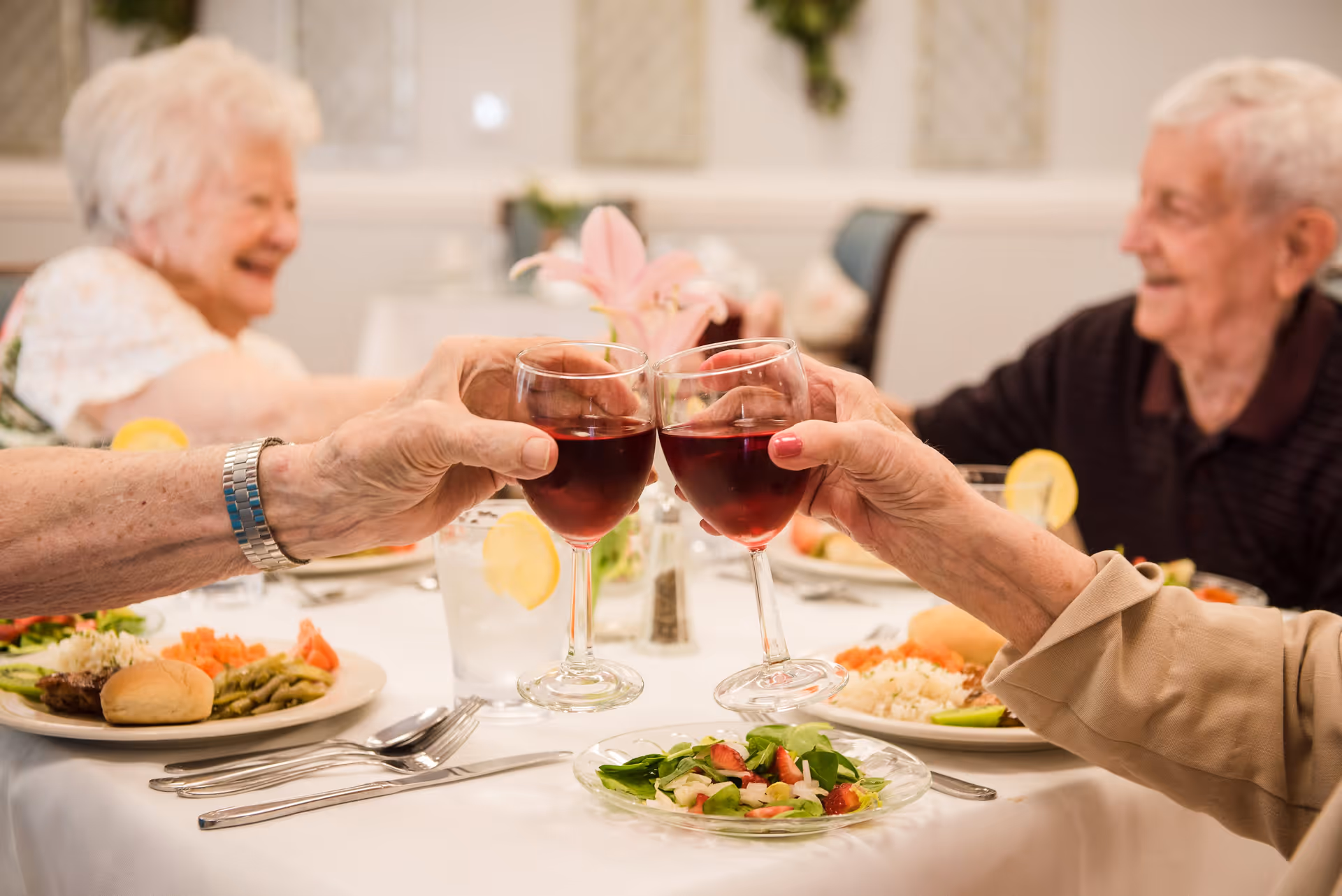Two elderly people clinking glasses of red wine at a dining table set with plates of food including salad, vegetables, and rolls, with two other elderly people smiling in the background.