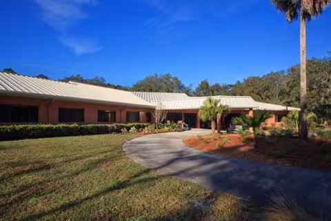 A single-story Wellsprings Residence exterior with a curved driveway, manicured lawn, and palm trees.