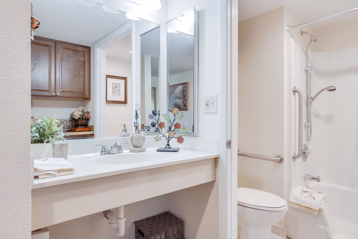 Well-lit bathroom with a sink vanity and mirror, toilet, and a shower/tub with grab bars and decorative accents.