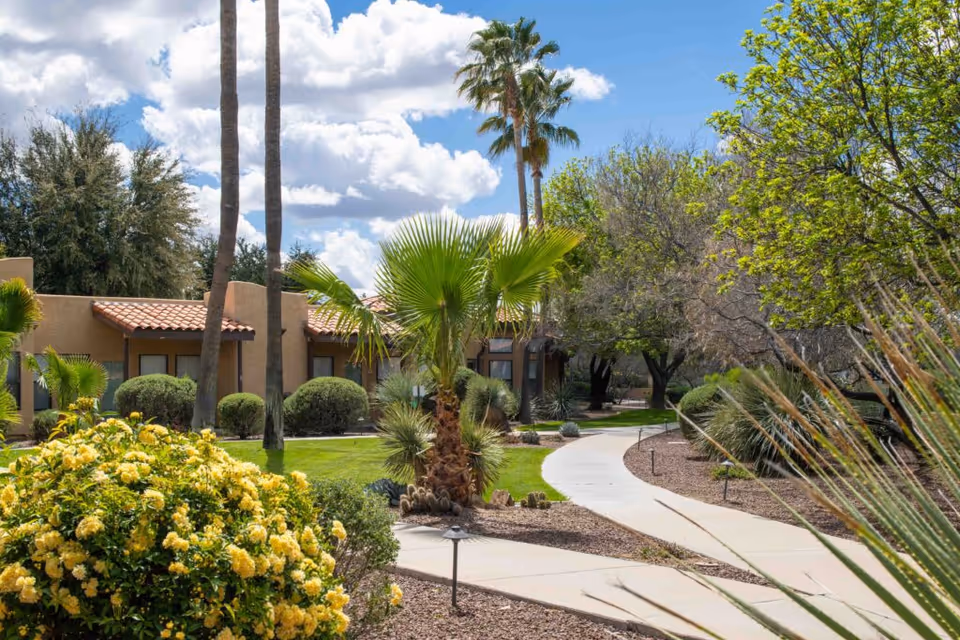 A landscaped outdoor area at Silver Springs facility featuring a curved concrete walkway surrounded by green grass, yellow flowering bushes, palm trees, and other desert plants under a partly cloudy blue sky.