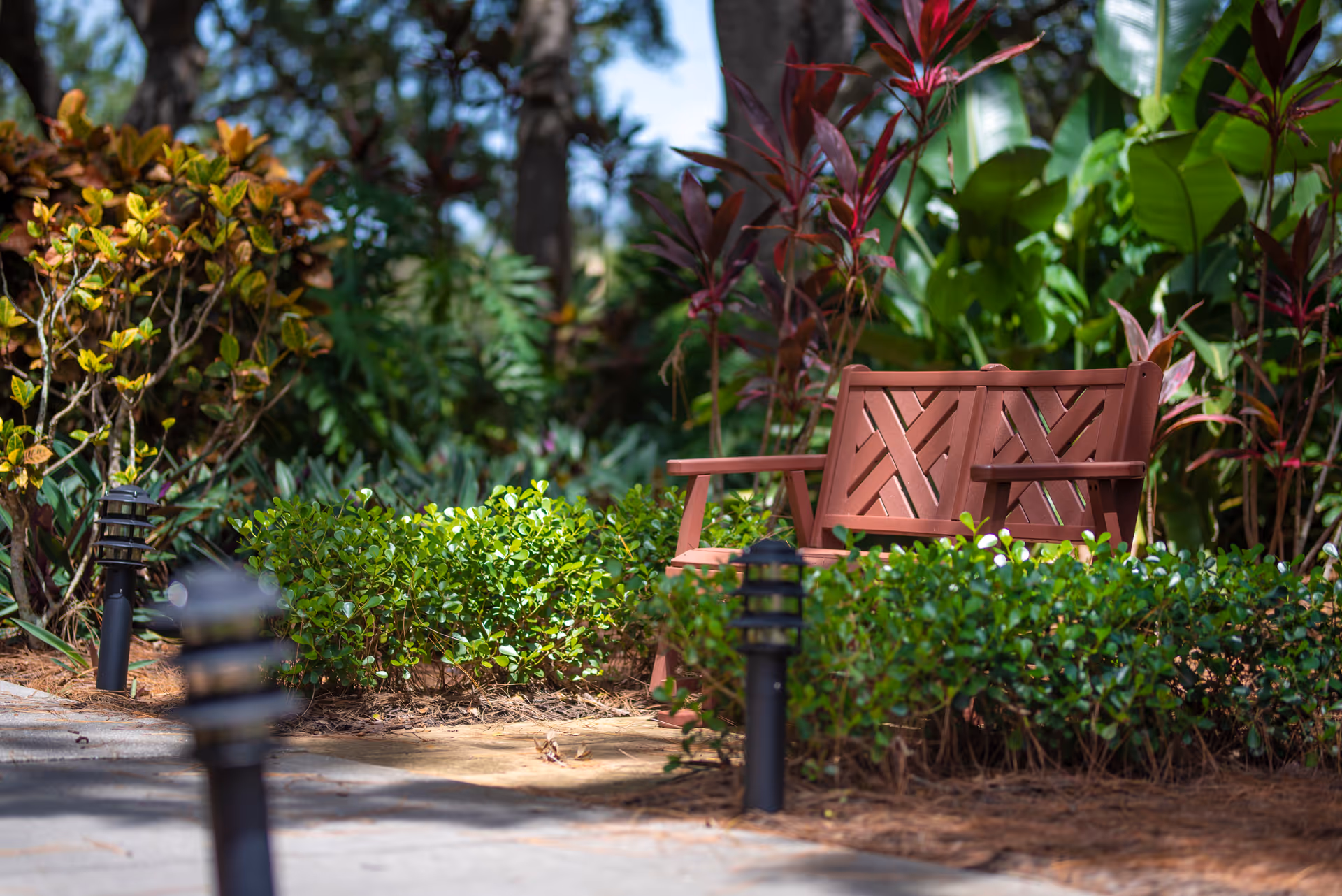 A wooden bench surrounded by green bushes and various plants in a garden setting with small black outdoor lights along a paved pathway.