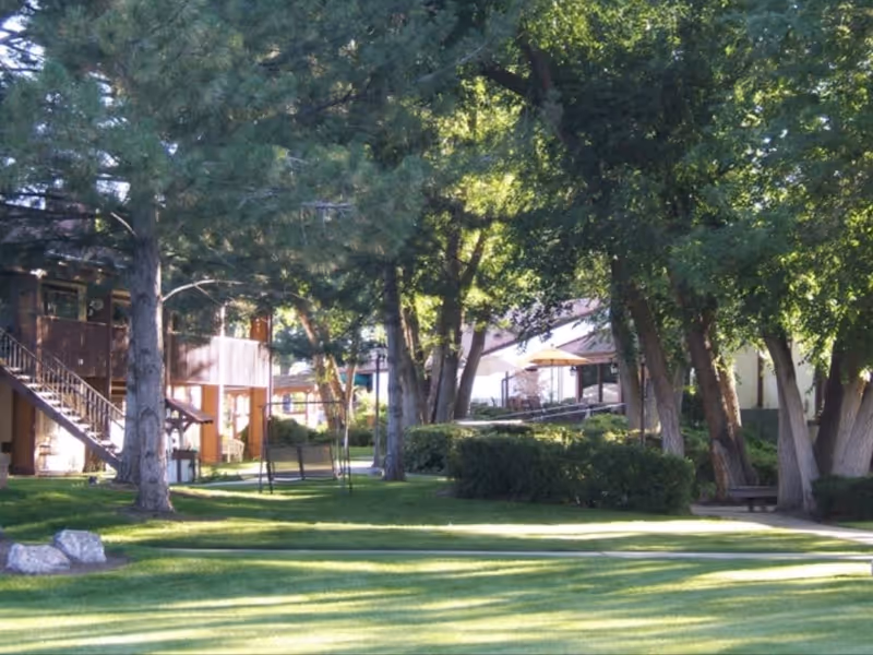 A peaceful outdoor area at Cove Point Retirement with green grass, large trees providing shade, bushes, a swing bench, and buildings in the background with stairs and patio umbrellas.