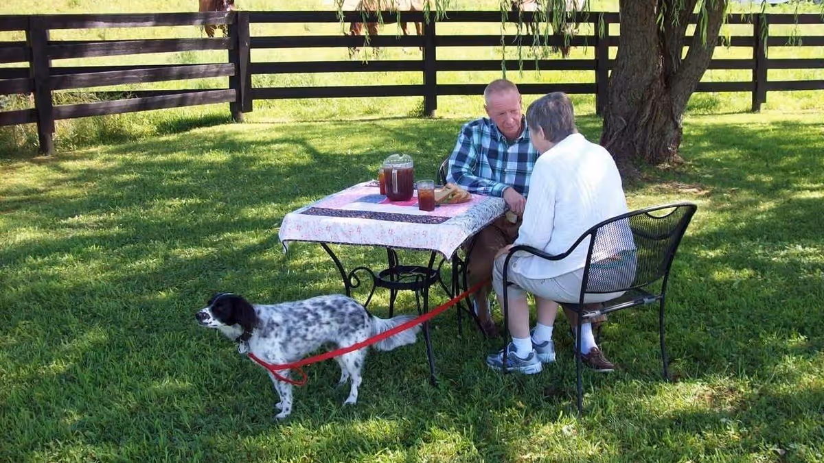Two older adults sit at a small outdoor table under a tree with drinks while a black-and-white dog on a red leash stands nearby on the grass.